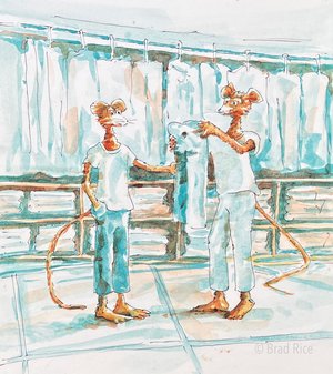 Irpin goes shopping with Momma.